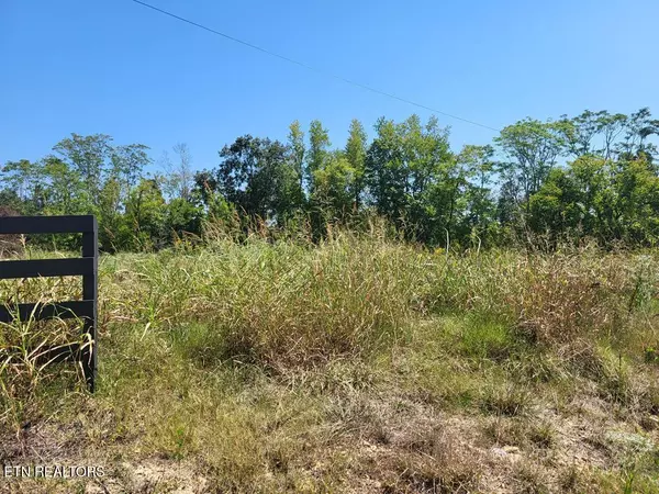 Smithville, TN 37166,Lot 42 S Peninsulas Edge DR