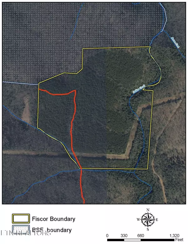 Robbins, TN 37852,Hannah Davidson Rd