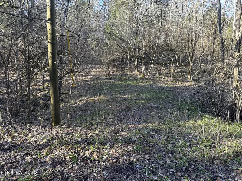 Lot 41 Haven Hill Rd., Louisville, TN 37777