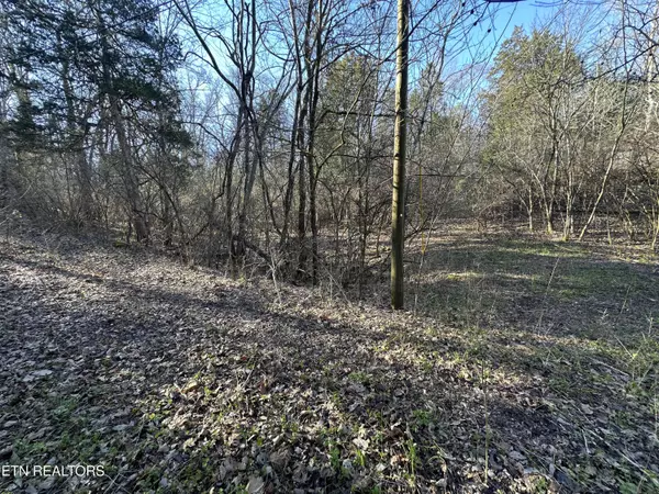 Louisville, TN 37777,Lot 41 Haven Hill Rd.