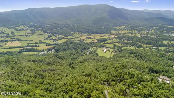 Sevierville, TN 37862,Lots 9-11 McGill Rd