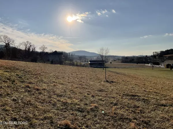 Sevierville, TN 37876,4169 Newport Hwy