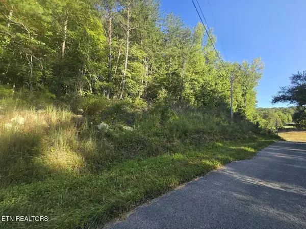 Oneida, TN 37841,Lot 25-26 Summit DR