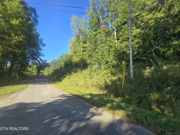 Oneida, TN 37841,Lot 27-28 Summit DR