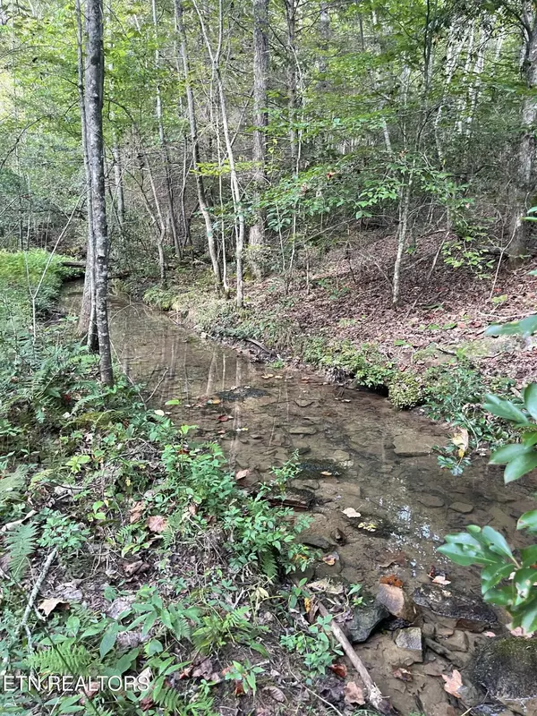 Crossville, TN 38572,Off Buckridge Rd. - 30.5 Acres