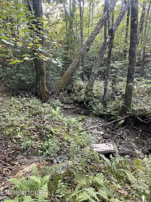 Crossville, TN 38572,Off Buckridge Rd. - 30.5 Acres