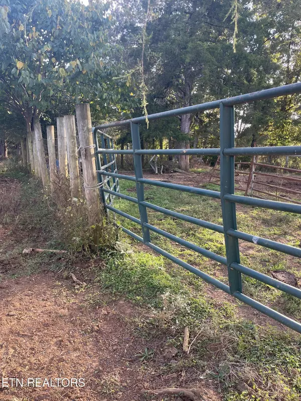 Quebeck, TN 37579,1380 Conrad Templeton Rd