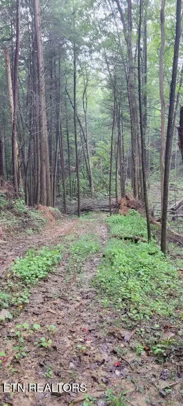 Jamestown, TN 38556,150 AC Prong Of Clear