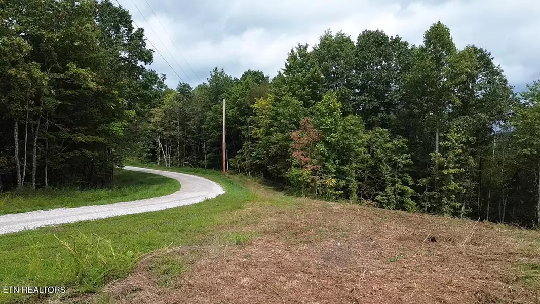 Higby PVT RD, Robbins, TN 37852