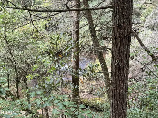 Jamestown, TN 38556,Banner Springs Rd