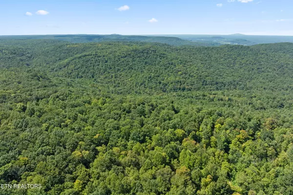 158 AC Lick Hollow BR, Spencer, TN 38585