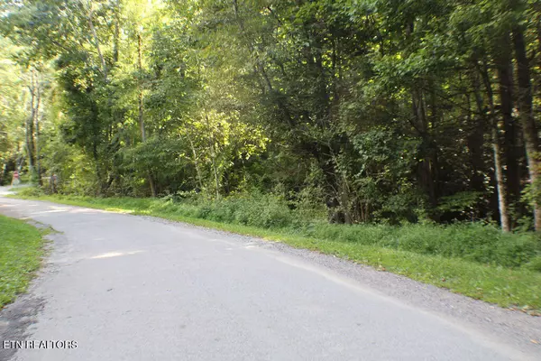 Mountain City, TN 37683,Deer Creek Xing