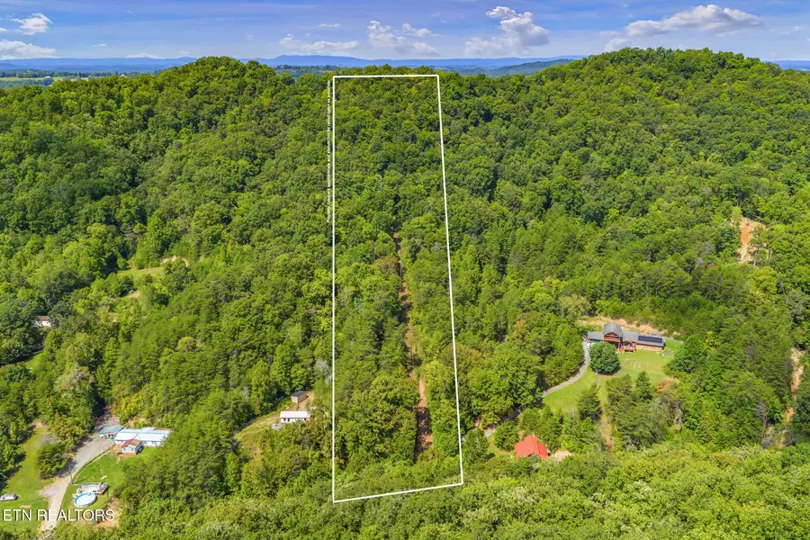 Texas Hollow Rd, Luttrell, TN 37779