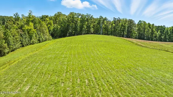 Rockwood, TN 37854,345 Waldo Rd
