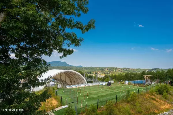 Pigeon Forge, TN 37863,270 Moose Ridge WAY