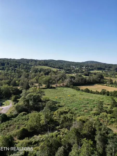 317 Singleton Hollow Rd #lot 1, Speedwell, TN 37870