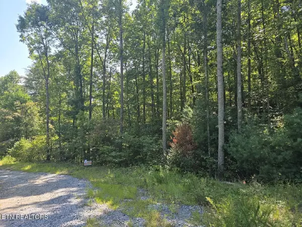 Sevierville, TN 37876,0 Red Rooster WAY