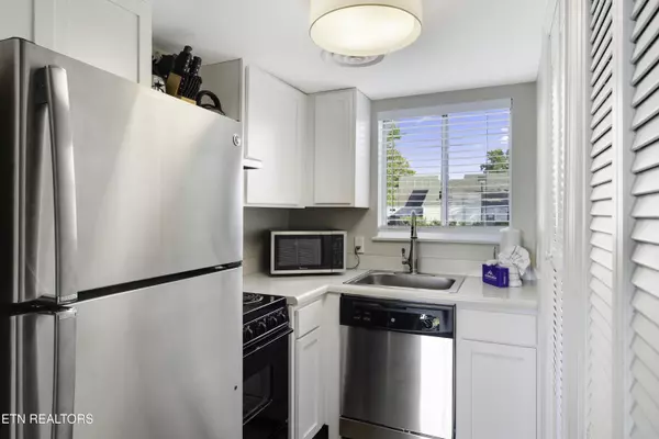 Gatlinburg, TN 37738,1260 Ski View DR #APT 4204