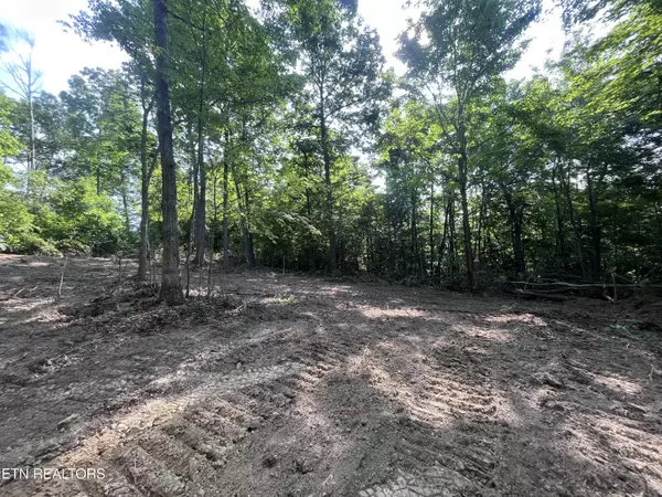 Tazewell, TN 37879,Little Sycamore Rd