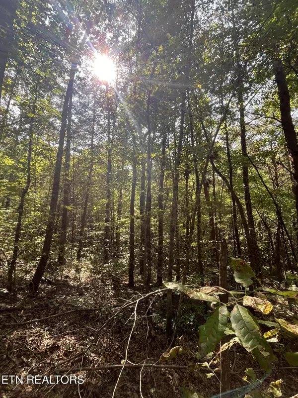 Tellico Plains, TN 37385,552 New Providence Rd