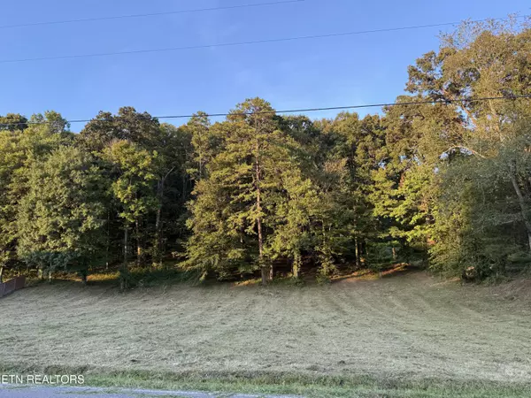 Andersonville, TN 37705,Hillvale rd.