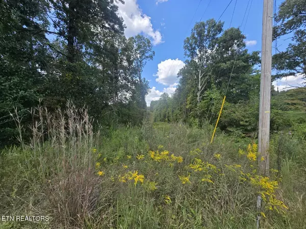 Sunbright, TN 37872,US-27