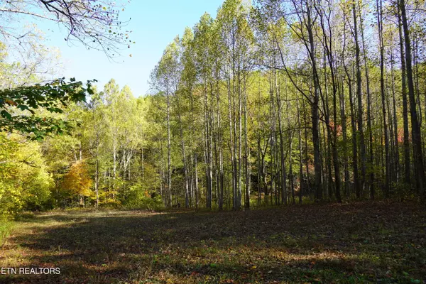 Cosby, TN 37722,PAR 033.01 South Highway 32