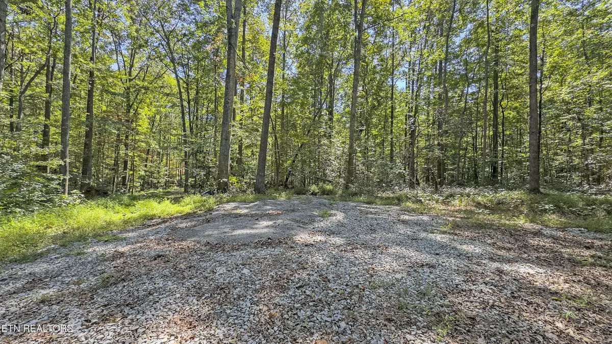 Spring City, TN 37381,28.6 acres Clifton Cemetery Rd