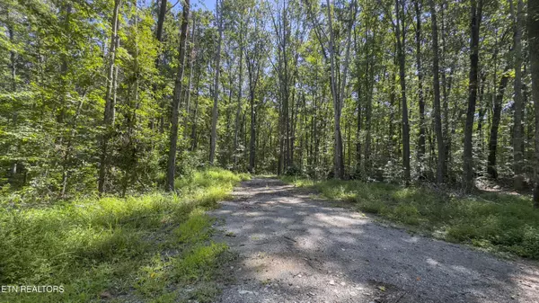 Spring City, TN 37381,28.6 acres Clifton Cemetery Rd