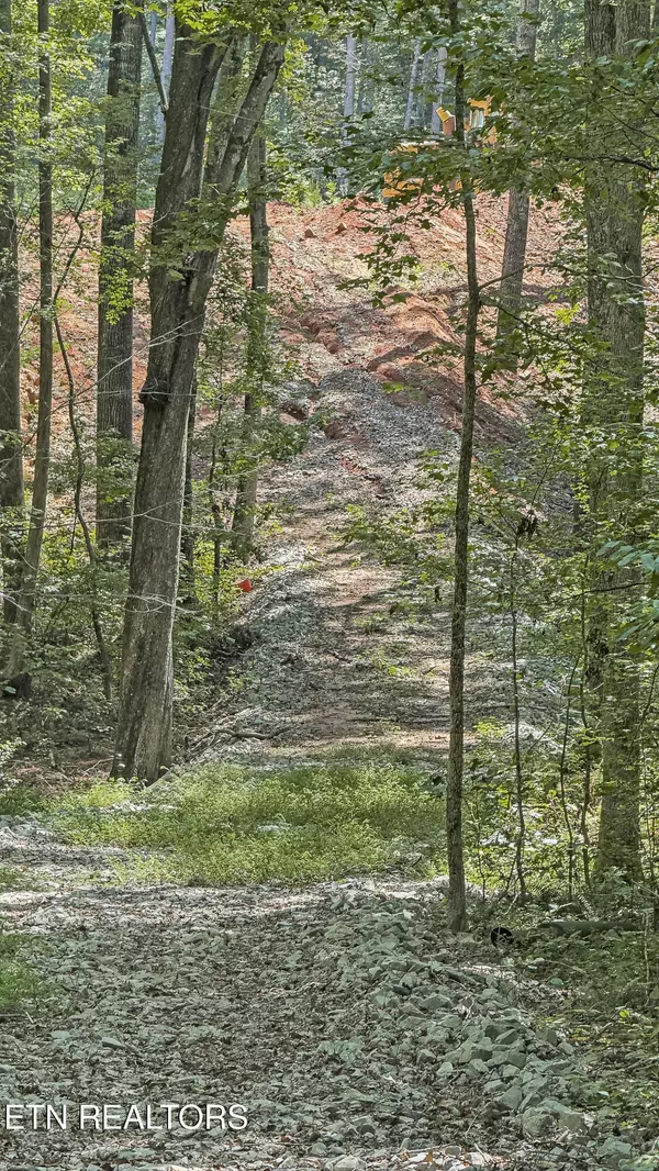 Spring City, TN 37381,28.6 acres Clifton Cemetery Rd