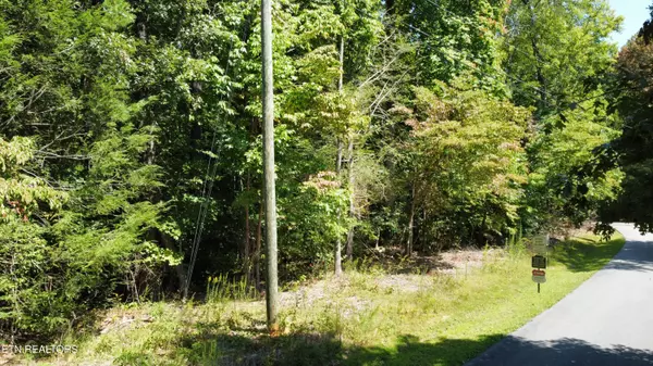 Sevierville, TN 37862,Lot 6 Saddle Brook Way