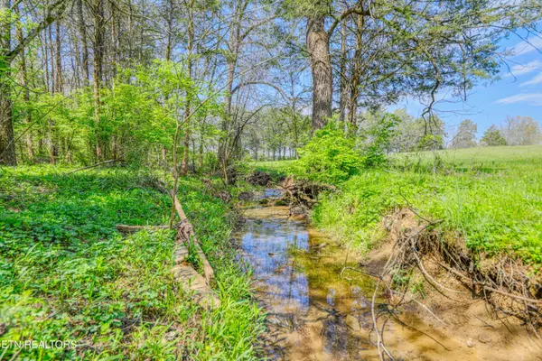 Corryton, TN 37721,8405 Washington PIKE