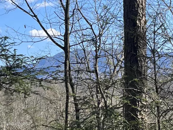 Shady Grove CT, Sevierville, TN 37876