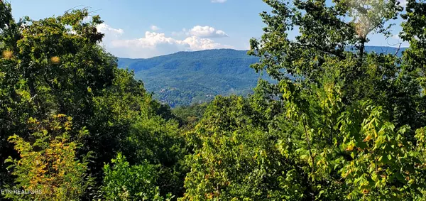 Sevierville, TN 37862,2218 Village Summit DR