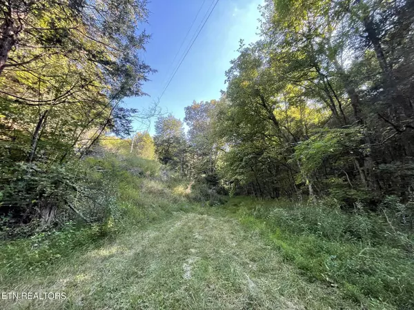 Tazewell, TN 37879,Little Sycamore Rd