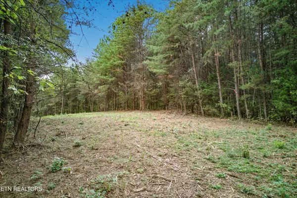Tellico Plains, TN 37385,173 Akins