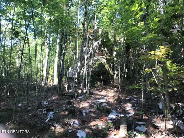 Oneida, TN 37841,Rob Watson Rd