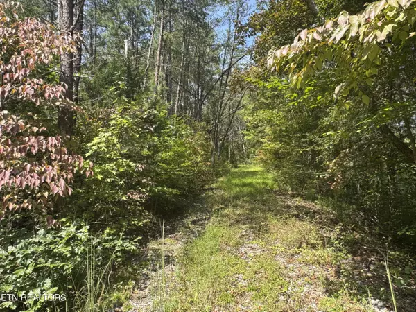 Sevierville, TN 37876,Lot 8 Tanglewood DR