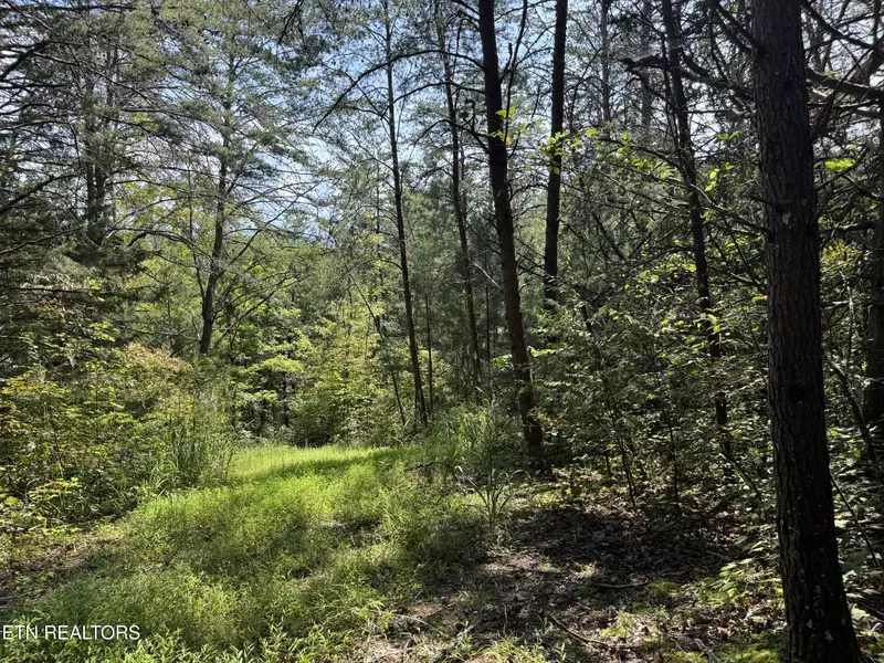 Lot 8 Tanglewood DR, Sevierville, TN 37876