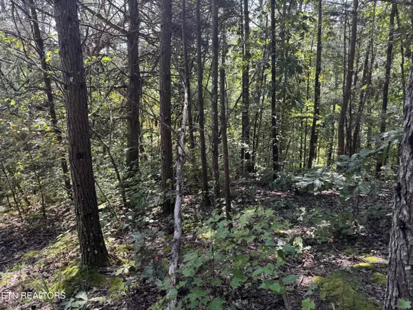 Sevierville, TN 37876,Lot 8 Tanglewood DR