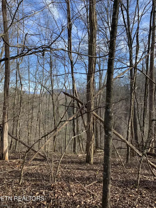 Seymour, TN 37865,4.38 ac Shiloh Rd