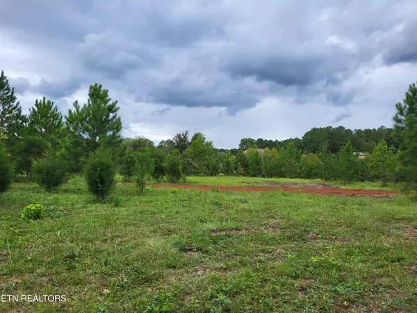 Riceville, TN 37370,329 County Rd #775