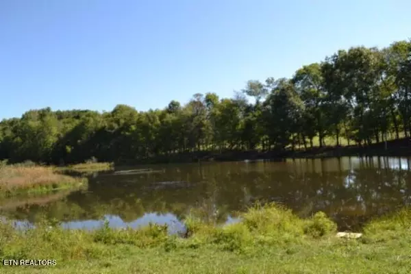 Jamestown, TN 38556,17.13ac Taylor Place Rd