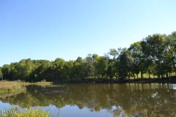 Jamestown, TN 38556,17.13ac Taylor Place Rd