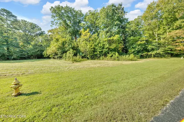 Rockwood, TN 37854,Shore DR