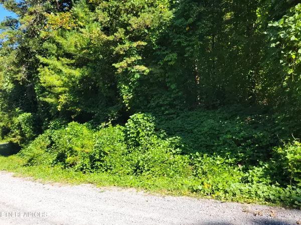 Del Rio, TN 37727,Lot 39 Sugar Maple WAY