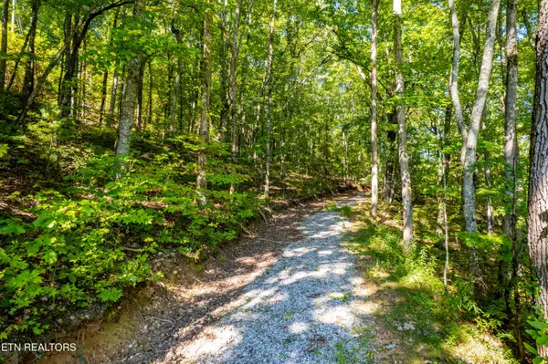 Tellico Plains, TN 37385,105 Warriors Passage DR