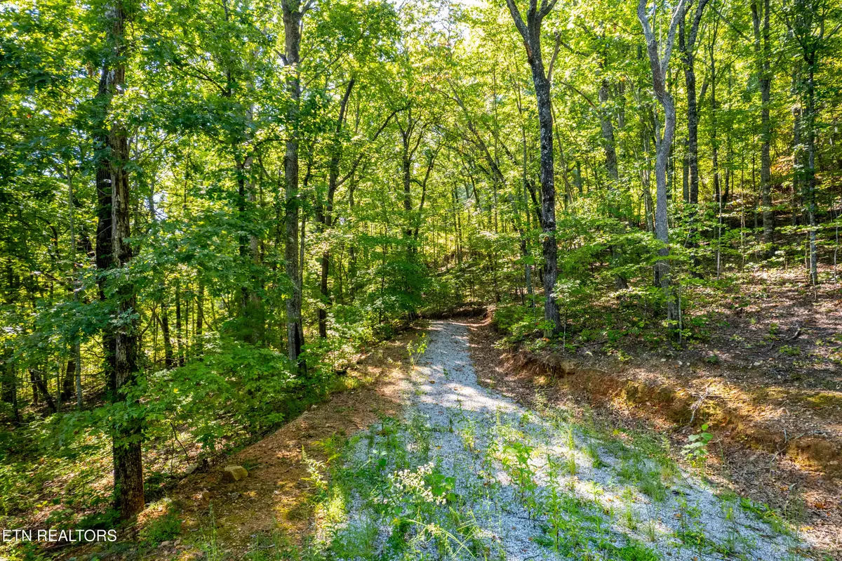 Tellico Plains, TN 37385,105 Warriors Passage DR