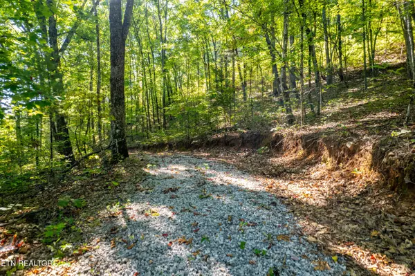 Tellico Plains, TN 37385,105 Warriors Passage DR