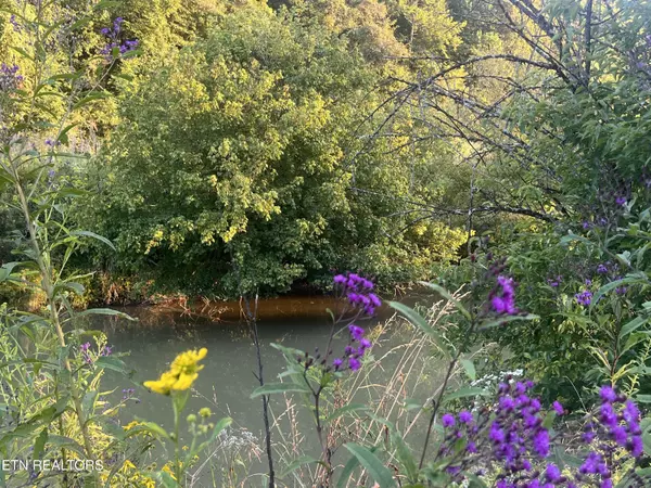 Heiskell, TN 37754,E Bullrun Valley Drive